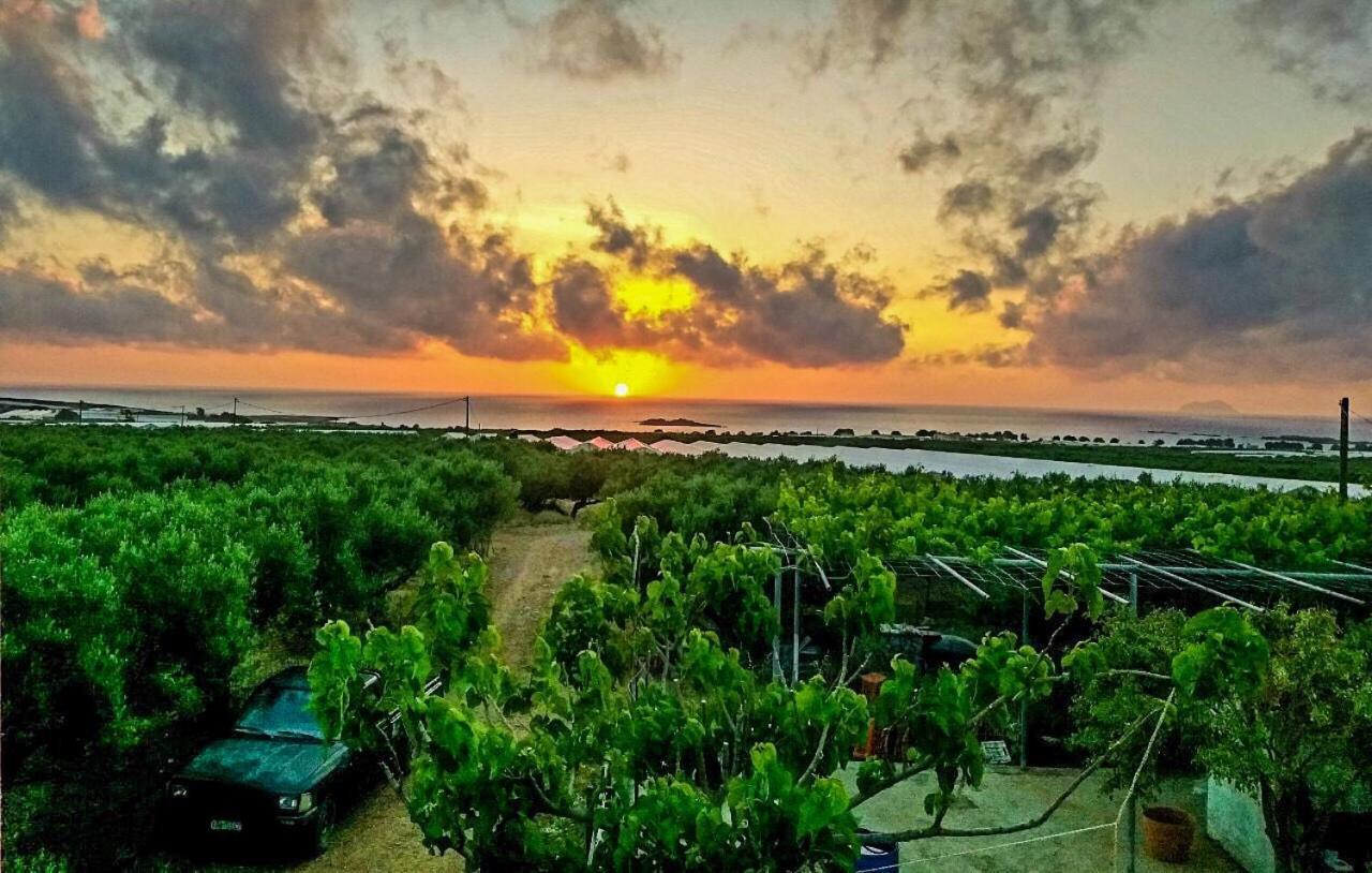 Вілла Pause Serenity House Into Olive Groves Agios Fotios Екстер'єр фото